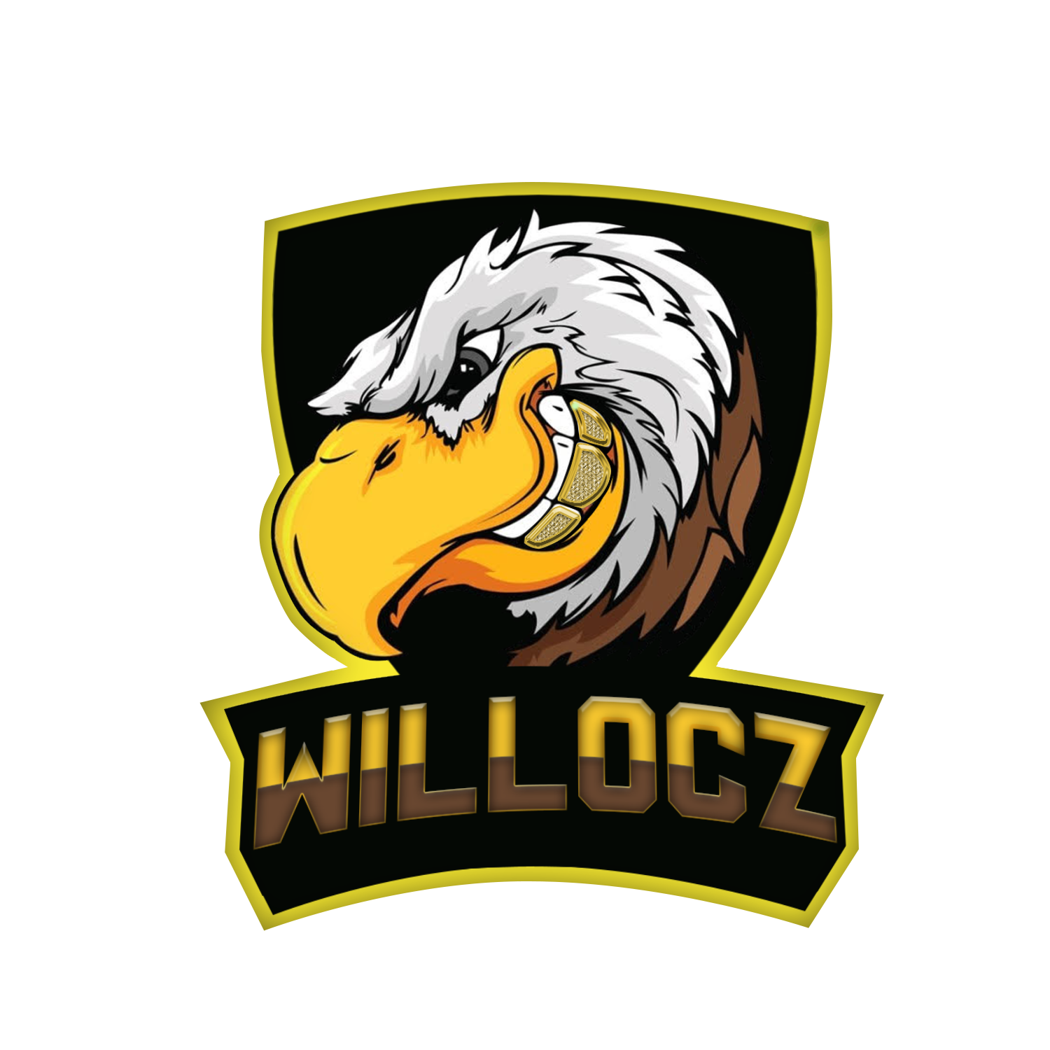 WilLocz Merch and Products Store